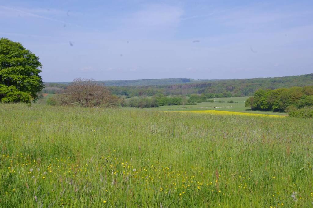 La-Haut, Gite-Maison De Vacances Poinson-les-Fayl Exteriér fotografie